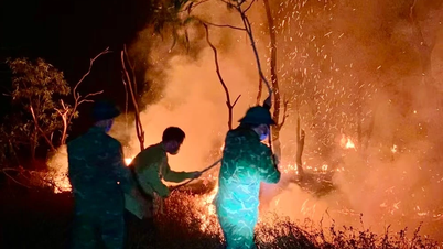 Quang Tri: Skovbrand i Trieu Co kommune er fuldstændig slukket.