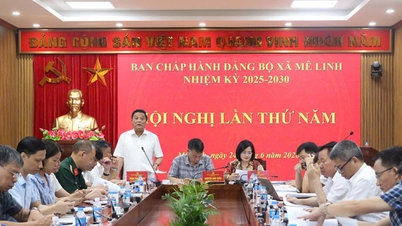 La commune de Me Linh a accompli 65 des 66 tâches qui lui avaient été assignées par la ville, et ce, avant la date prévue.