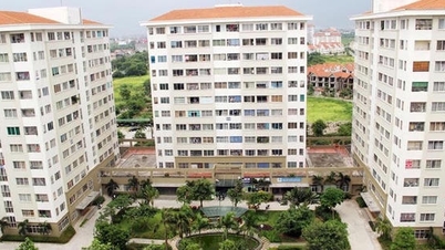 Bac Ninh aprobă o investiție într-un proiect de locuințe sociale în valoare de aproape 2,9 trilioane de VND în cartierul Tu Son.