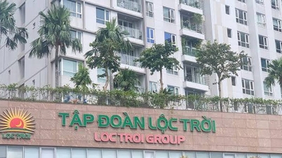 Tập đoàn Lộc Trời bị đình chỉ giao dịch: Khủng hoảng công bố thông tin chưa có hồi kết