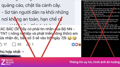 Perché alcuni abbonati di telefonia mobile stanno improvvisamente ricevendo messaggi che avvertono dell'arrivo di un super tifone?