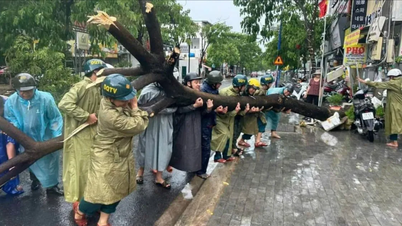 Miasto Ho Chi Minh przygotowuje plany zapobiegania katastrofom przed porą deszczową.