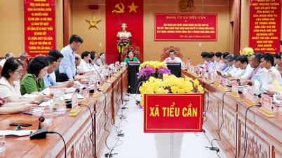 Tieu Can jest zdeterminowany, aby zrealizować cele i zadania na rok 2026.