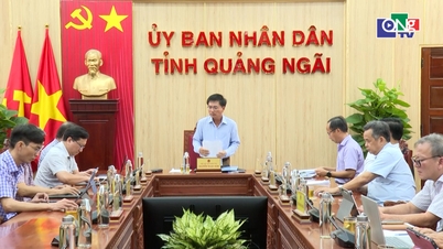 Rà soát phương án xử lý cơ sở nhà, đất dôi dư