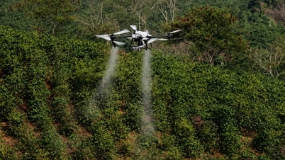 Wilayah Dien Bien sedang menjalankan percubaan penggunaan UAV dalam pengeluaran pertanian.