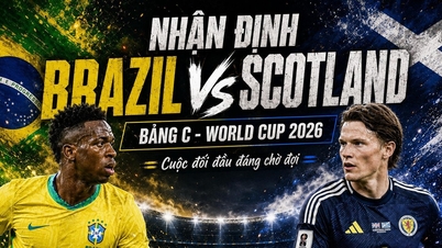 Historial de enfrentamientos entre Escocia y Brasil: la Seleção domina, a la espera del desafío final en el Grupo C.