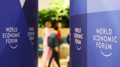 A szakértők a protekcionizmus terjedésének kockázatára figyelmeztetnek, szerintük a WTO-nak „ki kell zárnia” az Egyesült Államokat.