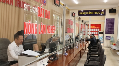 Cán bộ, công chức, viên chức phải đáp ứng yêu cầu nhiệm vụ