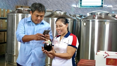 តើរុក្ខជាតិប្រភេទណាដែលជួយកសិករនៅខេត្តថាញ់ហ័រលក់ទាំងផ្កានិងផ្លែឈើ និងរកប្រាក់ចំណូលបានពេញមួយឆ្នាំ?