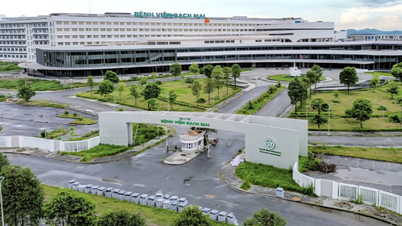 Cawangan Hospital Ninh Binh, Bach Mai, secara rasminya memulakan operasi pada 26 Jun.