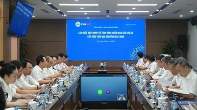 EVNNPC اور EVNNPT Bac Ninh صوبے کے لیے بجلی کی فراہمی کے منصوبے نافذ کر رہے ہیں۔