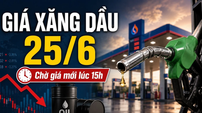 Fuel prices today, June 25th: World oil prices fall sharply.