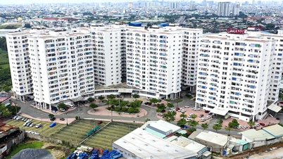 Bandar Raya Ho Chi Minh memberi tumpuan kepada pembangunan perumahan sosial dan perumahan sewa.
