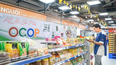 Đa dạng hóa kênh tiêu thụ sản phẩm địa phương