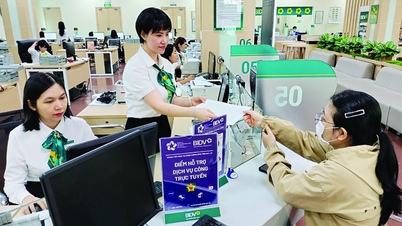 Ngân hàng hỗ trợ phát triển dịch vụ công số