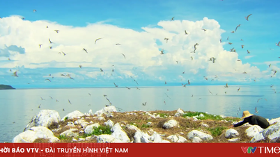 LIVE: Vietnam Wild Live startet im Seevogelparadies Hon Trung - Con Dao