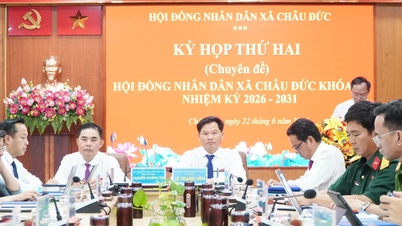 Ho Chi Minh City: Organisaatiorakenteiden ennakoiva järjestäminen ja vahvistaminen ruohonjuuritasolla.