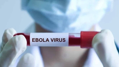 Det hvite hus har bedt om mer enn 1,4 milliarder dollar fra den amerikanske Kongressen for å håndtere ebolautbruddet.