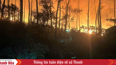 Os incêndios florestais continuam no distrito de Hai Binh.
