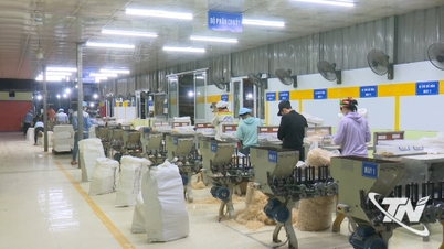 Northern Thai Nguyen öffnet seine Türen weit, um Investoren willkommen zu heißen (Teil 3).