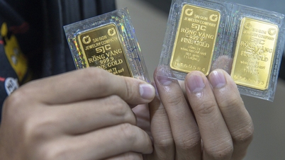 Precios del oro hoy, 25 de junio de 2026: Los precios nacionales cayeron casi un millón de dongs, mientras que los precios mundiales descendieron por debajo de los 4.000 dólares.