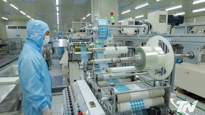 Criar uma base para o desenvolvimento de empresas industriais de apoio.