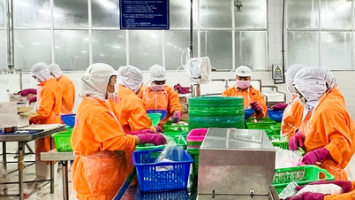 Các khu, cụm công nghiệp tập trung có tổng giá trị sản xuất trên 80.387 tỉ đồng