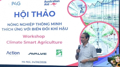 Ökologisch intelligente Landwirtschaft ebnet den Weg für grünes Wachstum.