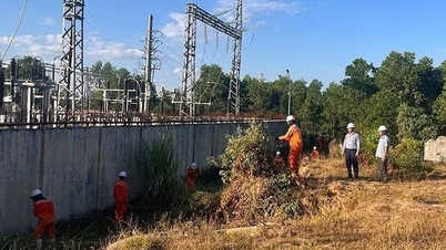 Thanh Hoa eyaletinde orman yangınlarından etkilenen yaklaşık 30.000 müşterinin elektriği yeniden sağlandı.