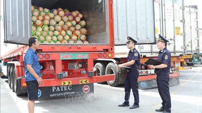 Свежая сельскохозяйственная продукция беспрепятственно проходит через пограничный пункт Лангшон.