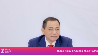ក្រុមហ៊ុន Vingroup ឈ្នះក្តីនៅអាល្លឺម៉ង់។