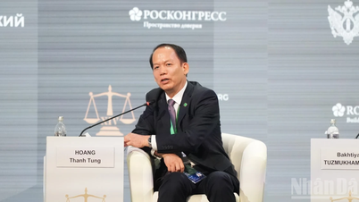 Vietnam cree en el valor del diálogo y en el papel del derecho internacional.