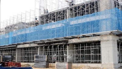 Η Νιν Μπιν επιταχύνει την κατασκευή κατοικιών για εργαζόμενους και άτομα με χαμηλό εισόδημα.
