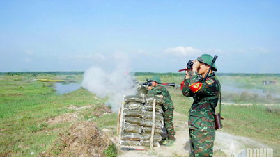 Divisi ke-9 (Korps ke-34): Melaksanakan latihan simulasi pertempuran.