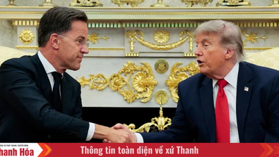 NATO se před summitem snaží uklidnit amerického prezidenta Trumpa.