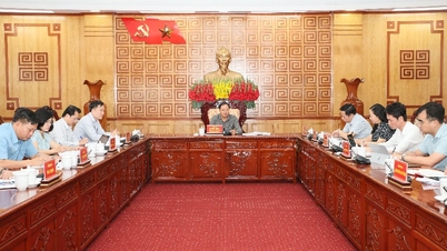 Provincial Party Secretary Le Minh Ngan: Prioritize large-scale, concentrated livestock production projects to create momentum for the province's development.