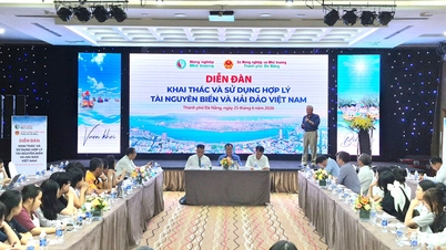 Da Nang membincangkan penyelesaian untuk eksploitasi dan penggunaan sumber marin dan pulau yang rasional dan mampan.