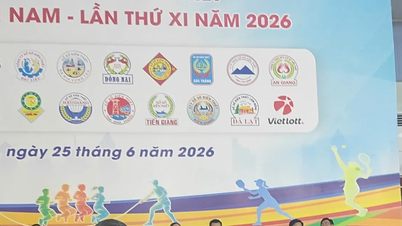 Спортивный фестиваль лотереи Южного региона 2026 года