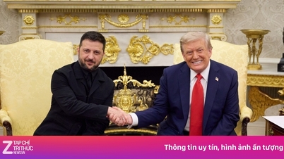 Trump elogió inesperadamente a Zelensky.