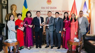 Vietnamské ministerstvo spravedlnosti si ve Švédsku vyměnilo zkušenosti s mediací a šířením právních poznatků.