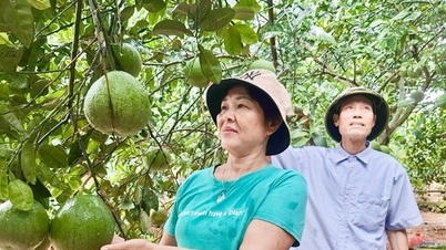 A produção agrícola comercial está ligada à demanda do mercado.