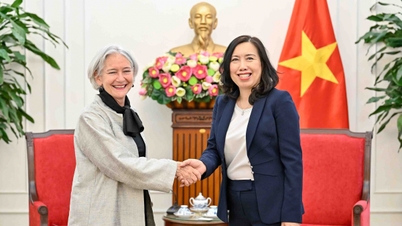 Náměstek ministra Le Thi Thu Hang přijal vedoucího zastoupení UNHCR v Thajsku, kterého pověřil Vietnam.