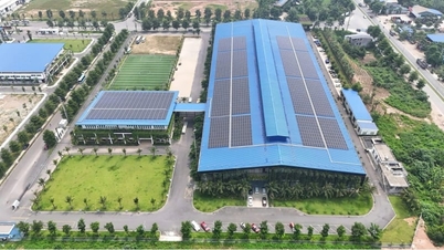 Der vietnamesische Umweltschutzfonds bietet Vorzugskredite mit einem Zinssatz von 2,6 % pro Jahr an.
