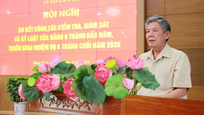Soudruh Ngo Chi Cuong: Zaměřte se důrazně na pravidelné monitorování a včasné varování před potenciálními porušeními.