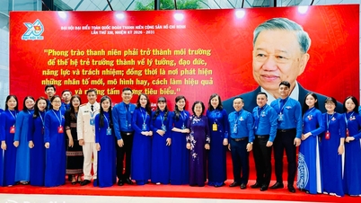 ខេត្តដុងណៃមានប្រតិភូពីររូបត្រូវបានជ្រើសតាំងជាសមាជិកគណៈកម្មាធិការប្រតិបត្តិកណ្តាលនៃសហភាពយុវជនជាតិលើកទី១៣។