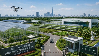 Opracowano plany stworzenia siedmiu zaawansowanych technologicznie stref rolniczych obejmujących ponad 1700 hektarów w Ho Chi Minh City.