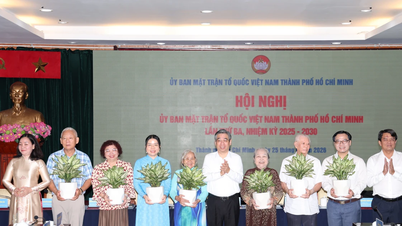 Hiệp thương bổ sung Phó Chủ tịch Ủy ban MTTQ Việt Nam TPHCM