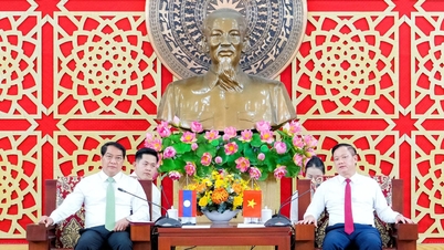 Les dirigeants de la province de Nghe An ont reçu et tenu une réunion de travail avec une délégation de la capitale Vientiane (Laos).