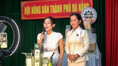 Hội Nông dân Đà Nẵng tập huấn kỹ năng livestream bán hàng cho chủ thể OCOP