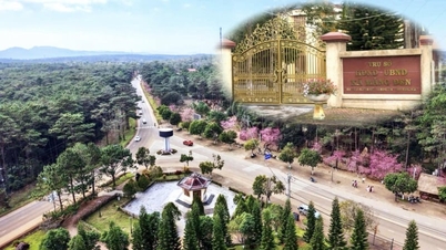 Quang Ngai eyaletinde, ilçe düzeyindeki arazi kullanım ücreti gelirleri, sadece 6 ay içinde hedeflenen seviyeye neredeyse ulaştı.